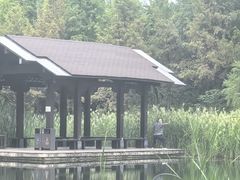 -洋湖国家湿地公园