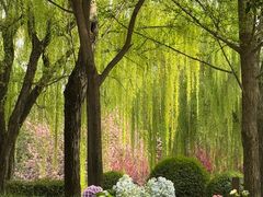 -唐城墙遗址公园