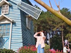 -铁山坪森林公园