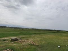 -空中草原