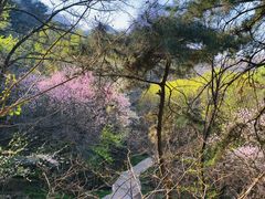 -封龙山风景区