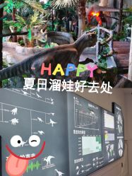 -恐龙探索乐园(磁器口店)