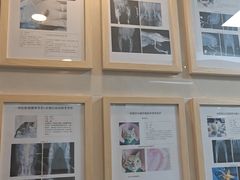 -半岛宠物医院24小时·内窥镜·牙科·碎石中心(府城大道店)