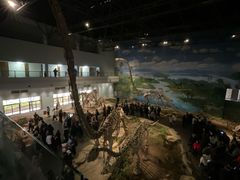 -自贡恐龙博物馆