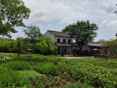 -田园东方蜜桃村的田野营地