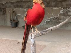 -森林公园(尖草坪区)