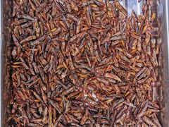 餐饮设施-雅安上里古镇