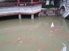 -龙潭水乡
