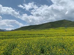 -扁都口生态休闲旅游区