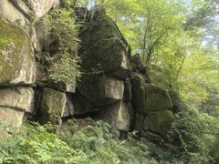 -五营红松林海景区