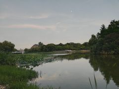 -新江湾城公园