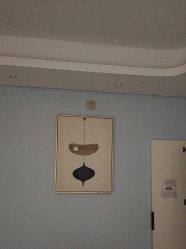 -美丽田园