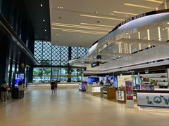 -王权免税店(普吉市区店)