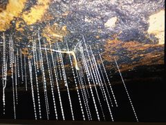 -怀托摩萤火虫洞