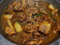 -成老灶火锅鸡(平山店)