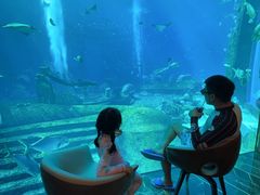 -亚特兰蒂斯•OSSIANO奥西亚诺海底餐厅