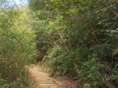 -梧桐山风景名胜区