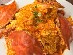 -连鹭海鲜·海肠捞饭·海胆饭(星海店)