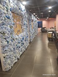 -doladola(徐家汇店)