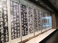 -平顶山博物馆
