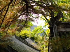 -潭柘寺景区