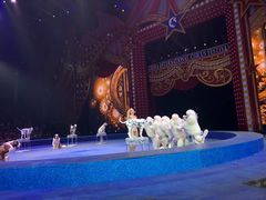 -珠海横琴长隆《卡卡虎奇遇记》