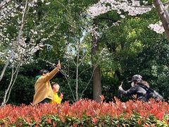-黄兴公园