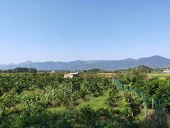 -上甘棠村