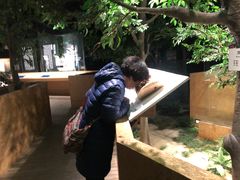 -中国沉香文化博物馆