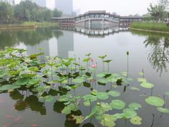 -西海子公园