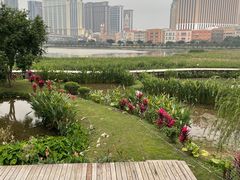 -龙环葡韵住宅式博物馆