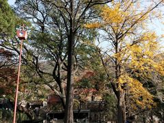 -青岛崂山太清宫