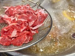 -牛必福潮汕牛肉火锅(油坊桥店)