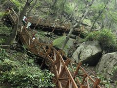 -大岭沟猕猴桃谷风景区