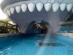 -重庆海昌加勒比海水世界