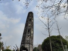 -上海佘山国家森林公园天马山园