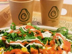 -油梨树 AVOCADO TREE(亮马桥店)