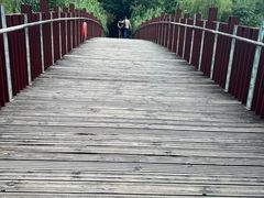 -南翔镇银翔湖公园