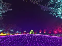 -云幽谷旅游区