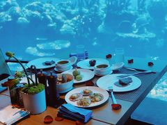 -海棠湾洲际-涛·海底餐厅·美人鱼·自助餐·海底隧道