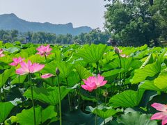-承德避暑山庄景区