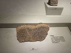 -长江文明馆
