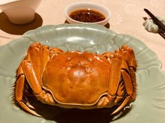 成隆行精选大闸蟹-成隆行·蟹王府(九江路店)