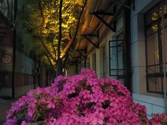 -巴黎春天(浦建店)