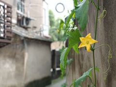 -金龟岛渔村