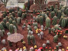 -南通洲际绿博园