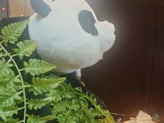 -了凡国风主题茶馆·咖啡(武侯祠锦里店)