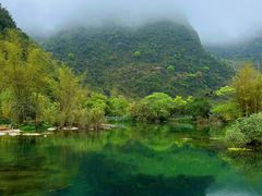 -靖西鹅泉风景区