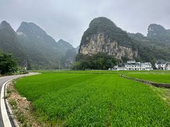 -明仕田园