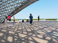 -南汇嘴观海公园